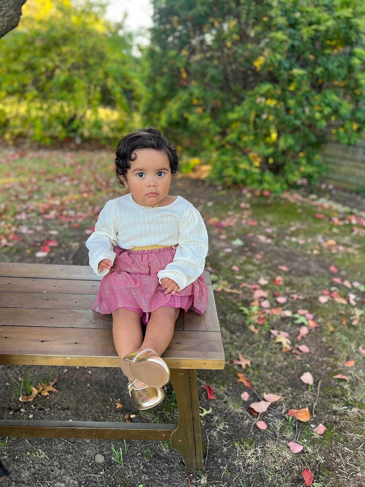 Valerie Alonzo joined the competition — help win amazing prizes! autumn, bench, casual_clothing, child, curly_hair, cute, fall, golden_shoes, grass, ground, leaves, nature, outdoor, person, pink_skirt, portrait, sitting, toddler, wood, young_child