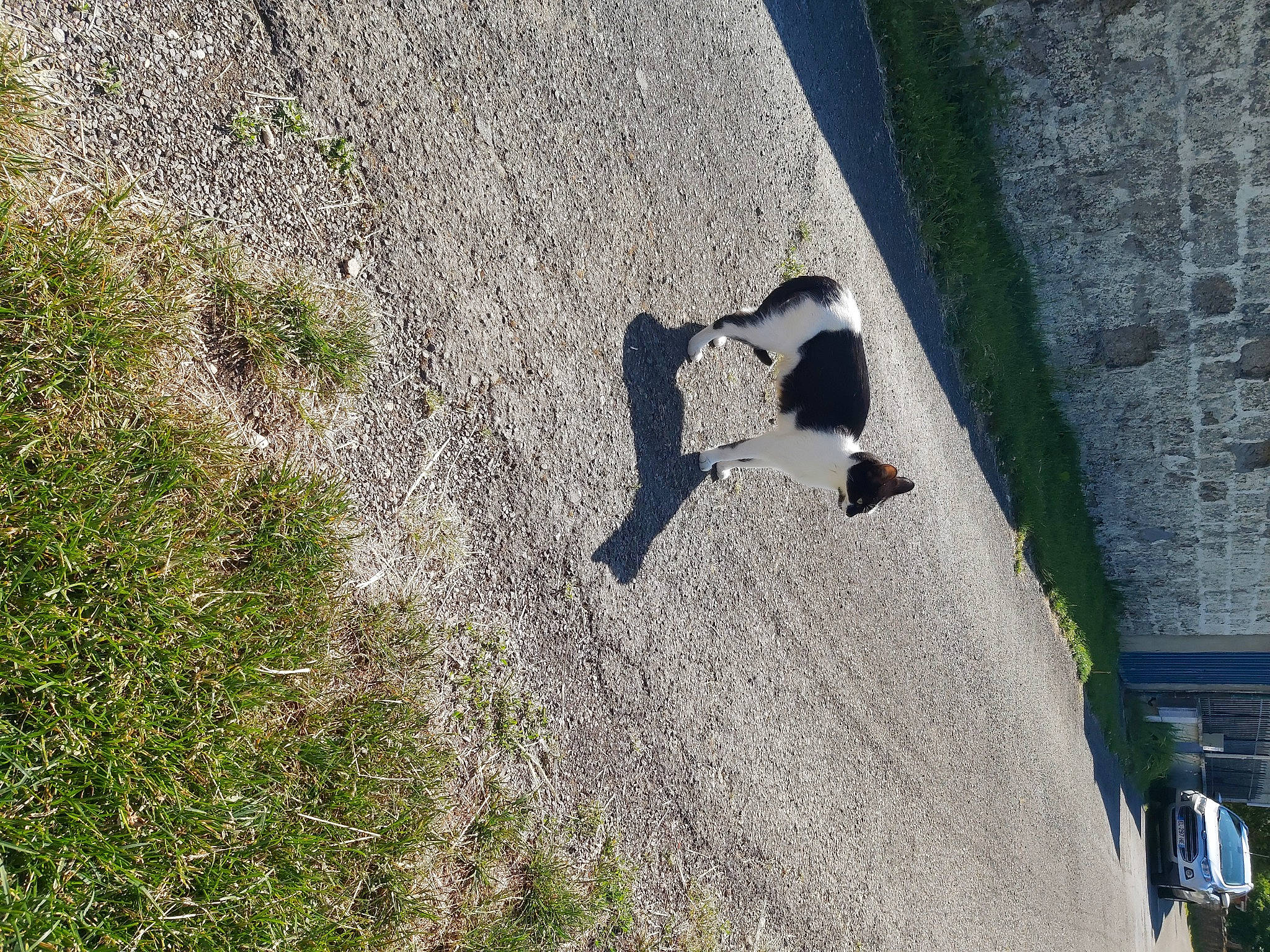 Minette participe au concours pour gagner de l'argent avec cette photo : asphalt, building, concrete, facade, grass, landscape, plant, recreation, reflection, road, road_surface, rock, shadow, sidewalk, slope, soil, street, tree, window, wood