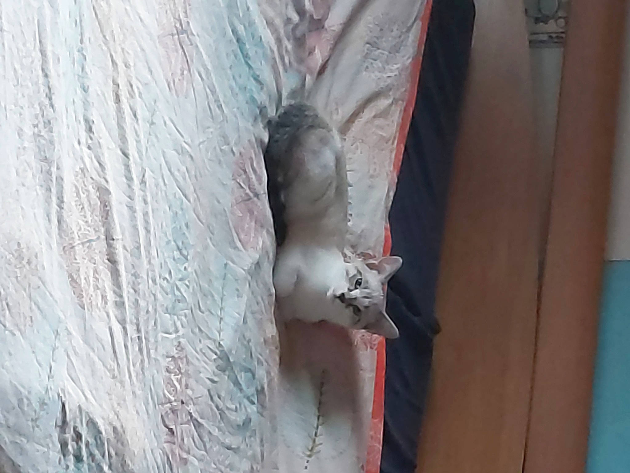 Trompette a rejoint le concours — aidez-le/la à gagner de superbes lots ! art, carmine, cement, composite_material, concrete, door, electrical_wiring, facade, grey, hardwood, human_leg, plaster, room, sculpture, visual_arts, window, wood