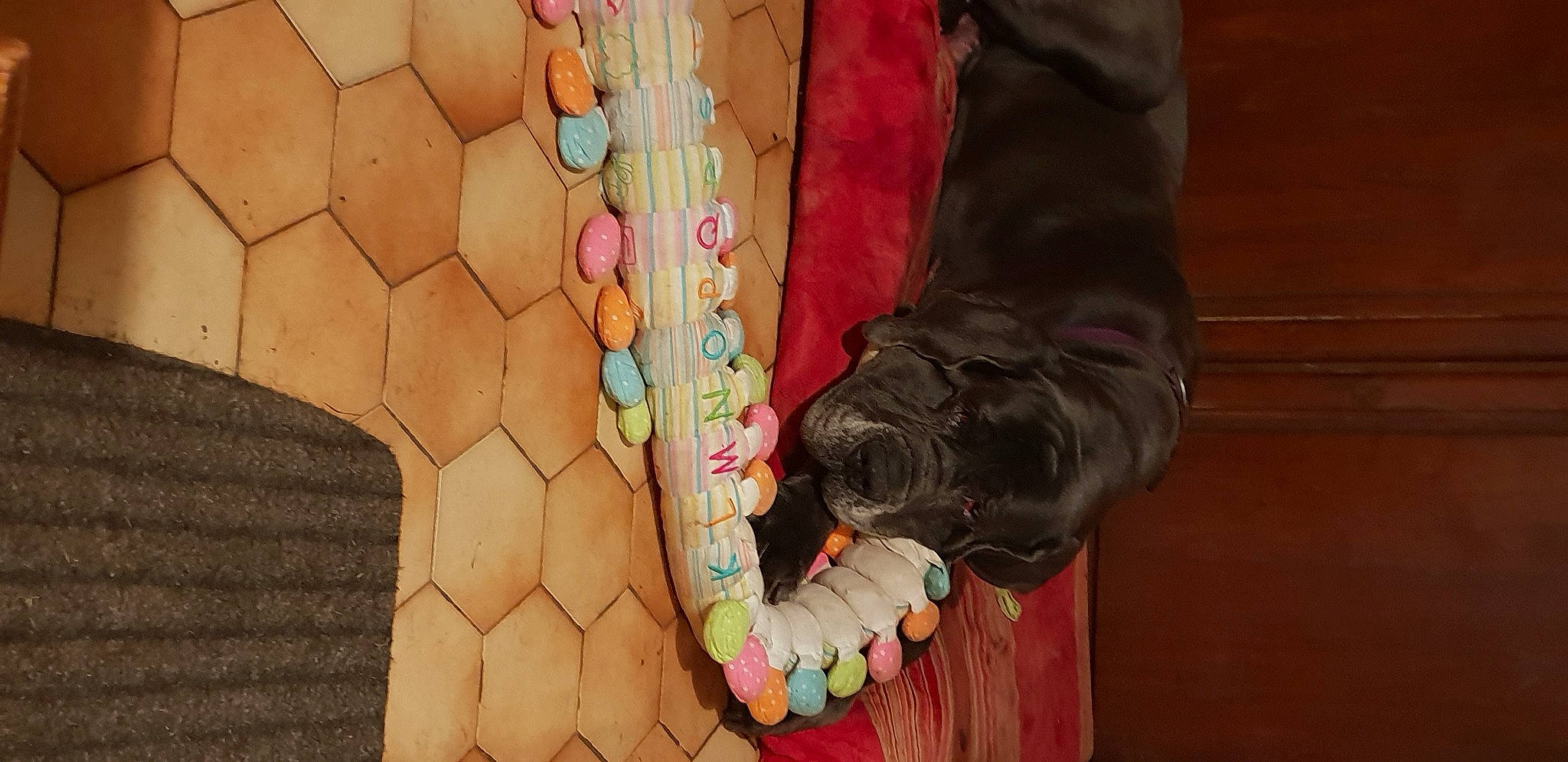 Gangster participe au concours pour gagner de l'argent avec cette photo : art, leg, pink, sporting_group, wood