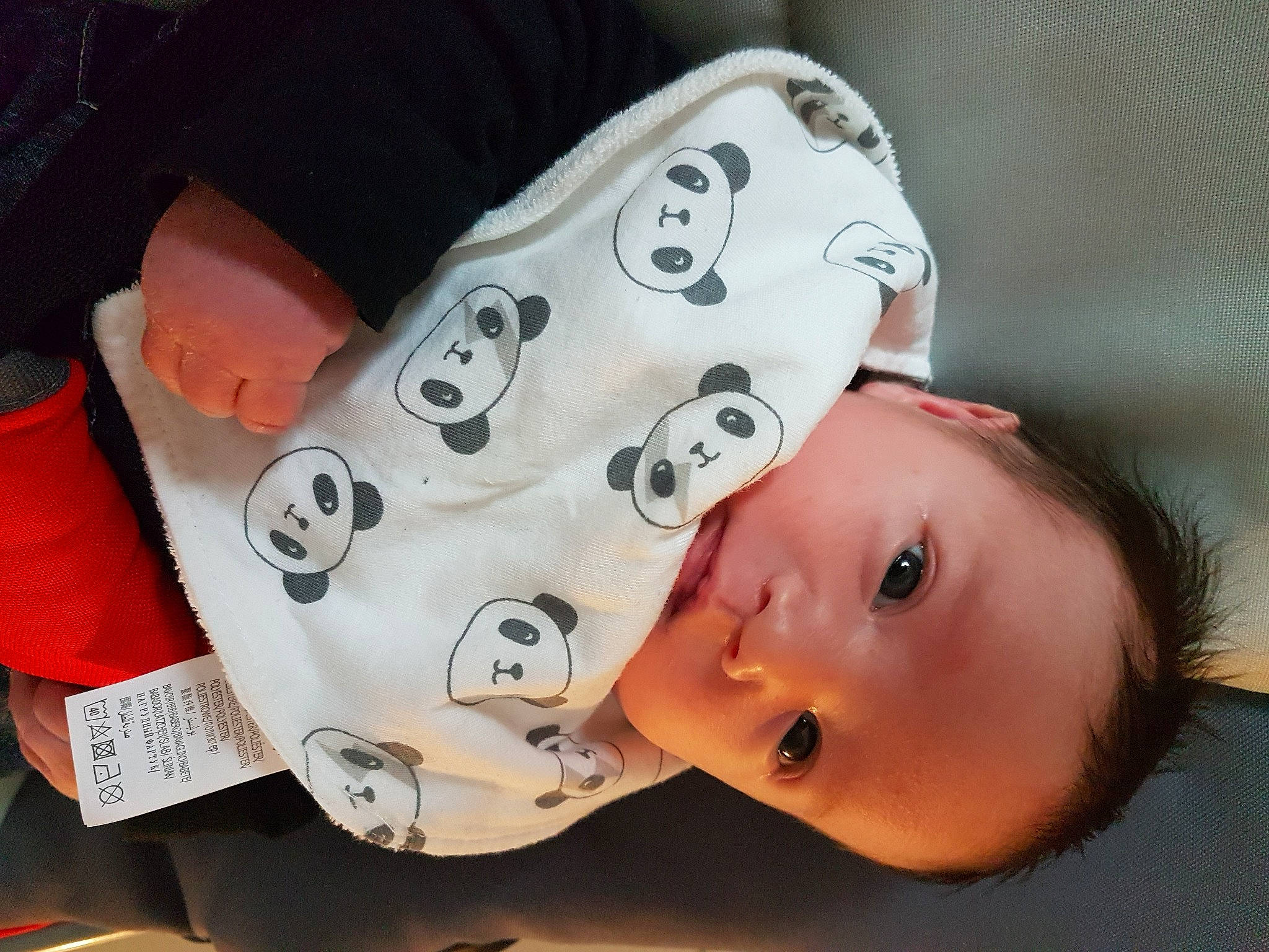 Tiago a rejoint le concours — aidez-le/la à gagner de superbes lots ! baby, child, head, headgear, person, toddler