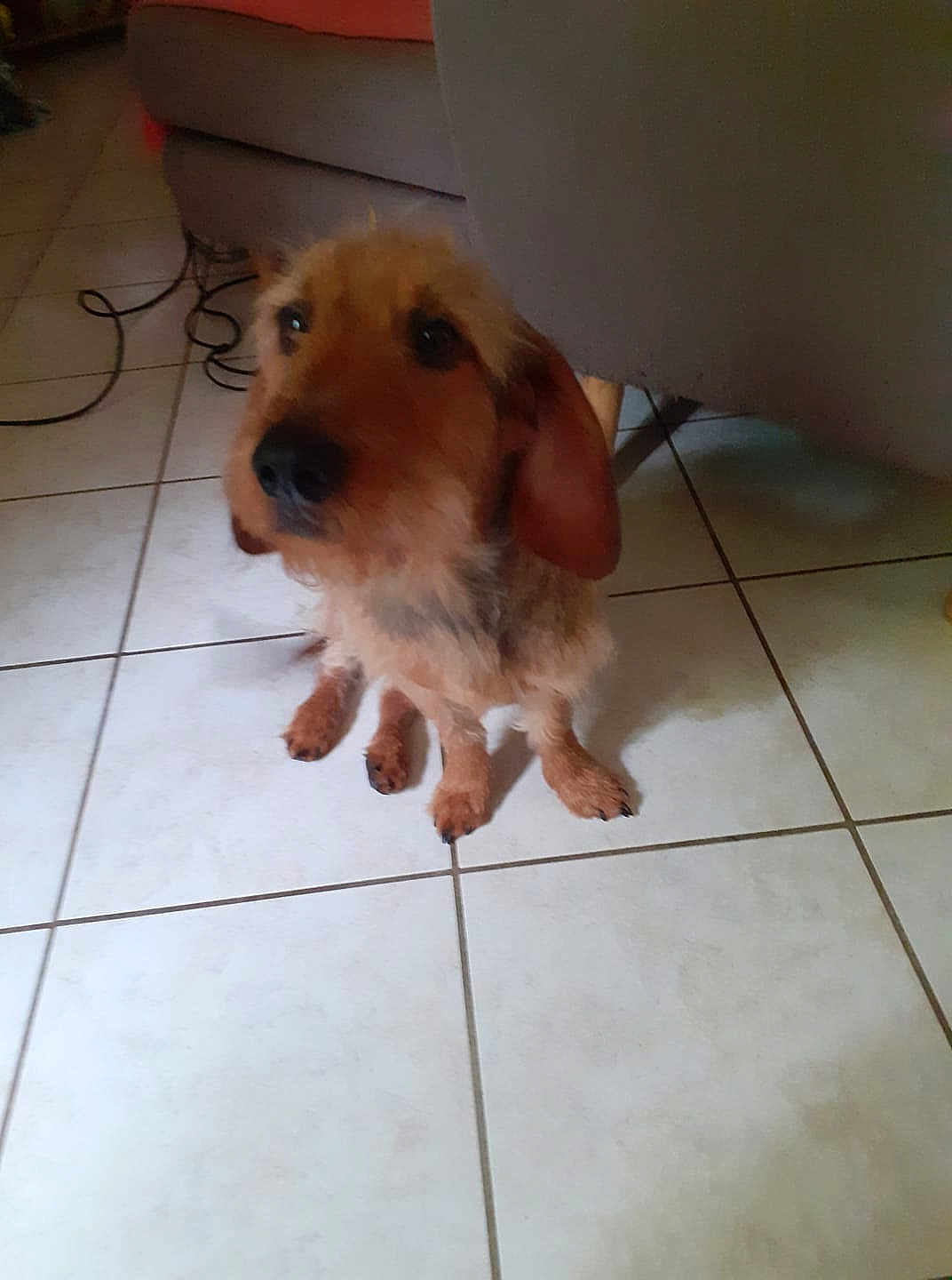 Paco