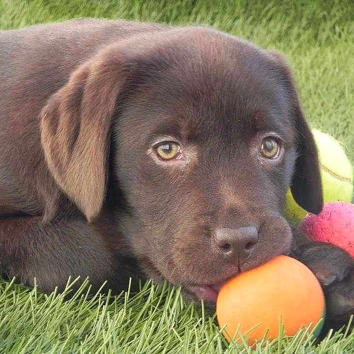 HAthais participe au concours pour gagner de l'argent avec cette photo :