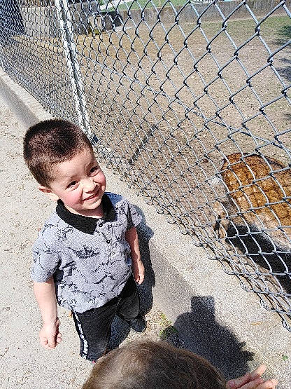 Tiago a rejoint le concours — aidez-le/la à gagner de superbes lots ! animal_shelter, chain_link_fencing, child, fence, fun, grass, happy, joy, leisure, livestock, mammal, mesh, net, person, recreation, sitting, smile, soil, terrestrial_animal, toddler