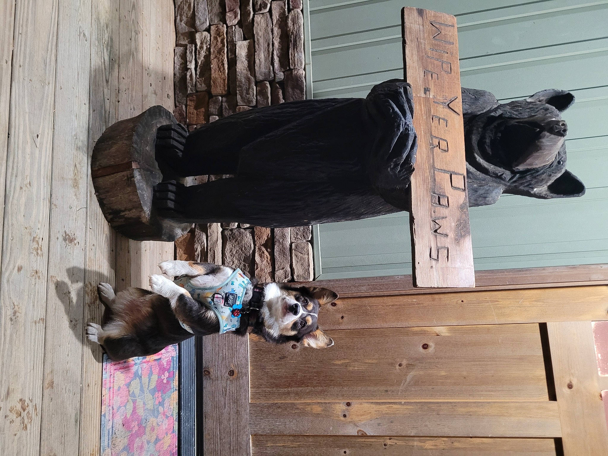 Aura joined the competition — help win amazing prizes! art, building, design, door, hardwood, outdoor_shoe, plank, sculpture, shoe, statue, visual_arts, walking_shoe, wood, wood_stain