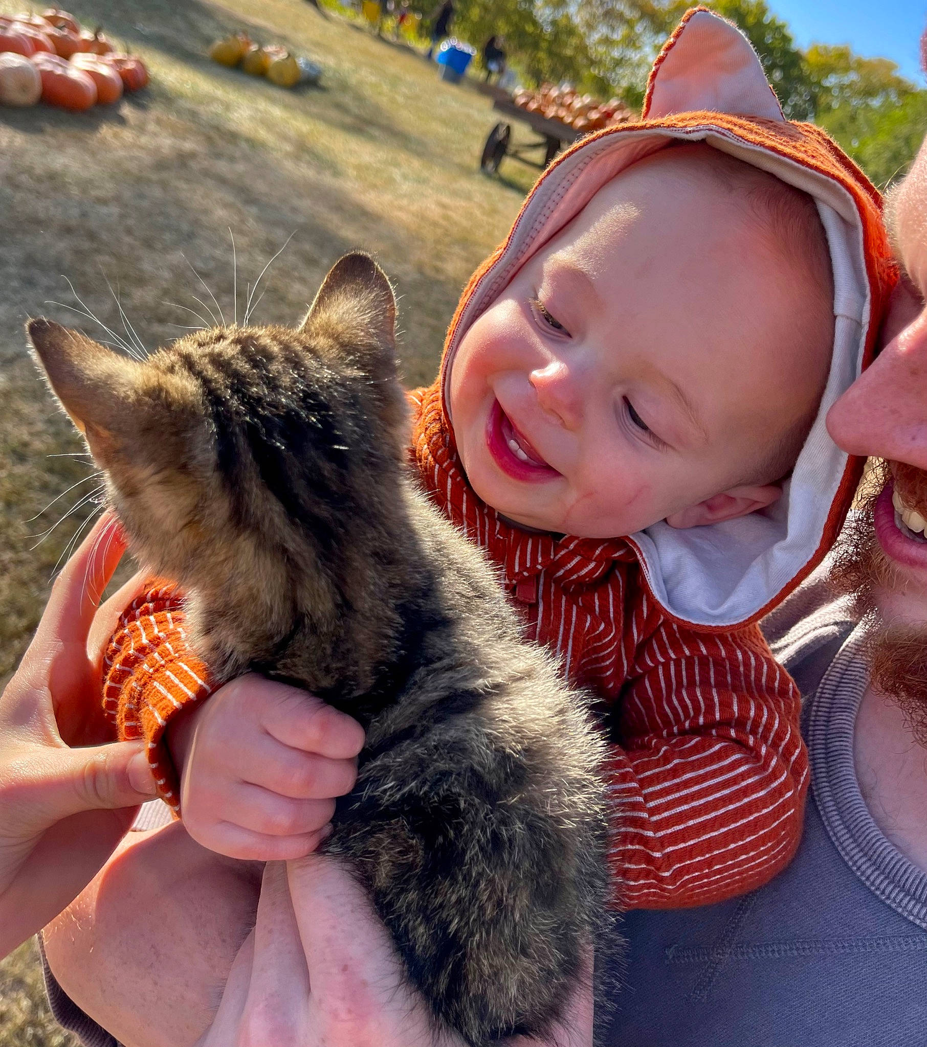 Atticus joined the competition — help win amazing prizes! baby, cap, carnivore, cat, child, domestic_short_haired_cat, felidae, fun, fur, gesture, grass, happy, hat, paw, person, sitting, skin, small_to_medium_sized_cats, sun_hat, toddler