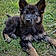 Blacky