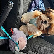 Ulys participe au concours pour gagner de l'argent avec cette photo : auto_part, bag, blue, canidae, car, car_seat, car_seat_cover, companion_dog, dog, dog_breed, electric_blue, fashion_accessory, fawn, fur, luggage_and_bags, sporting_group, strap, stuffed_toy, toy, toy_dog
