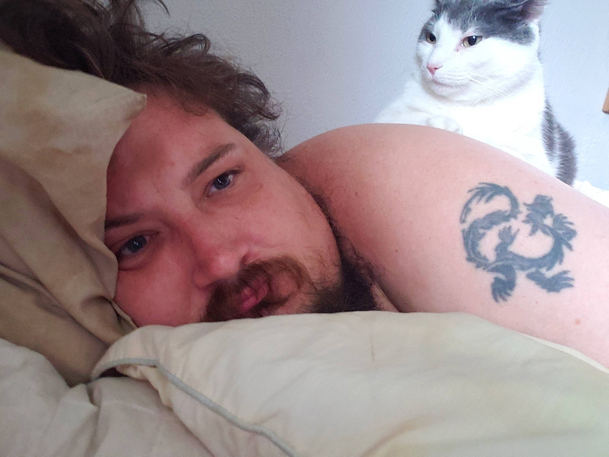 Figaro joined the competition — help win amazing prizes! beard, chest, comfort, elbow, eye, eyebrow, eyelash, felidae, gesture, head, human_leg, joint, mammal, muscle, neck, skin, temporary_tattoo, trunk, vertebrate, whiskers