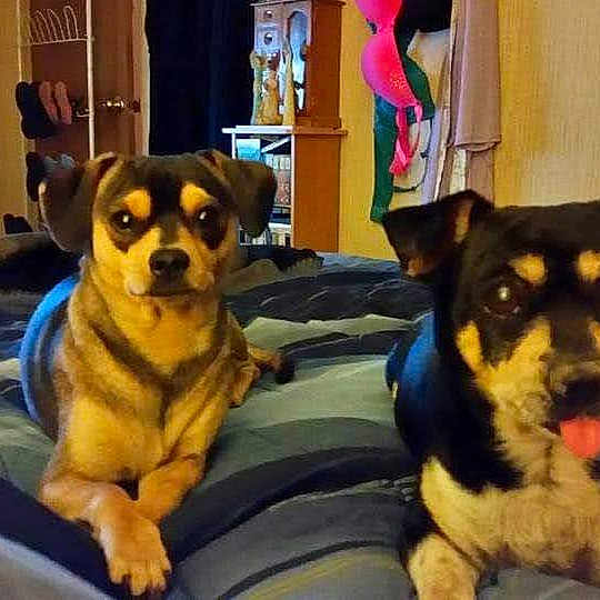 Smokey And Bandit