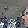 dog, pet, animal, small_dog, black_and_white, scruffy, short_hair, face, eyes, nose, ears, collar, car, vehicle, interior, passenger, woman, sunglasses, portrait, selfie