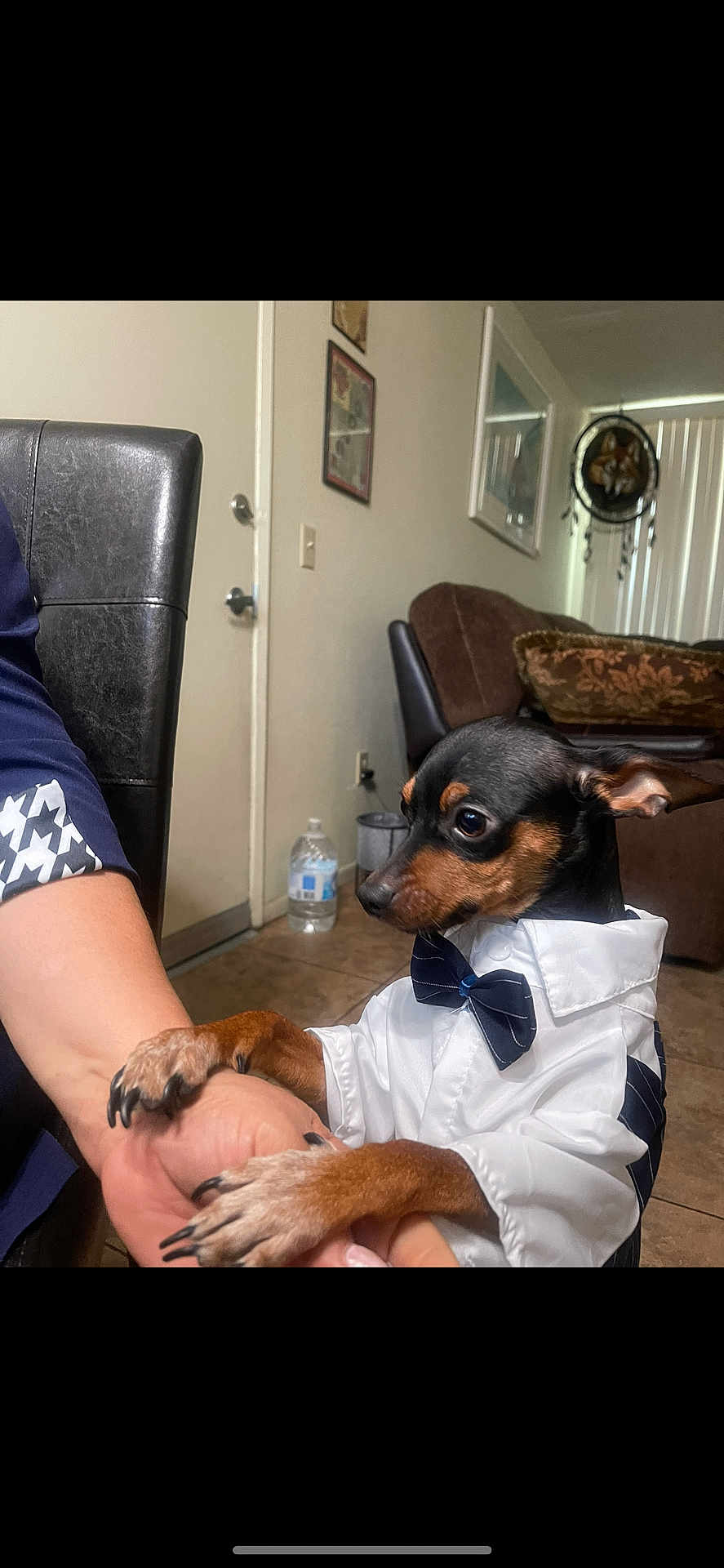 Billy-Boy