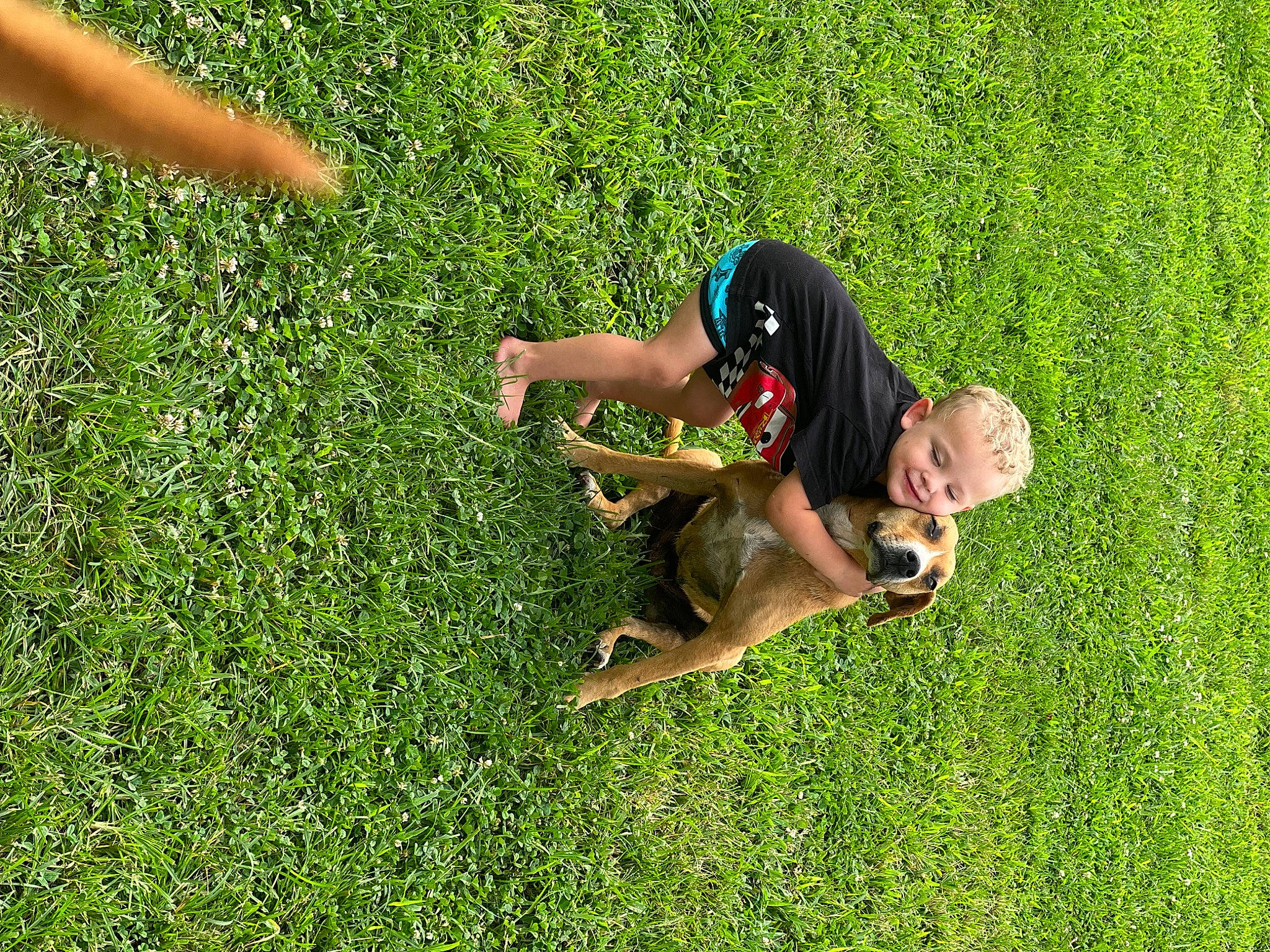 Bryson is registered to the contest to win money with this photo: artificial_turf, elbow, field, fun, grass, grass_family, grassland, groundcover, happy, joy, knee, landscape, lawn, leisure, meadow, pasture, people_in_nature, person, plant, recreation