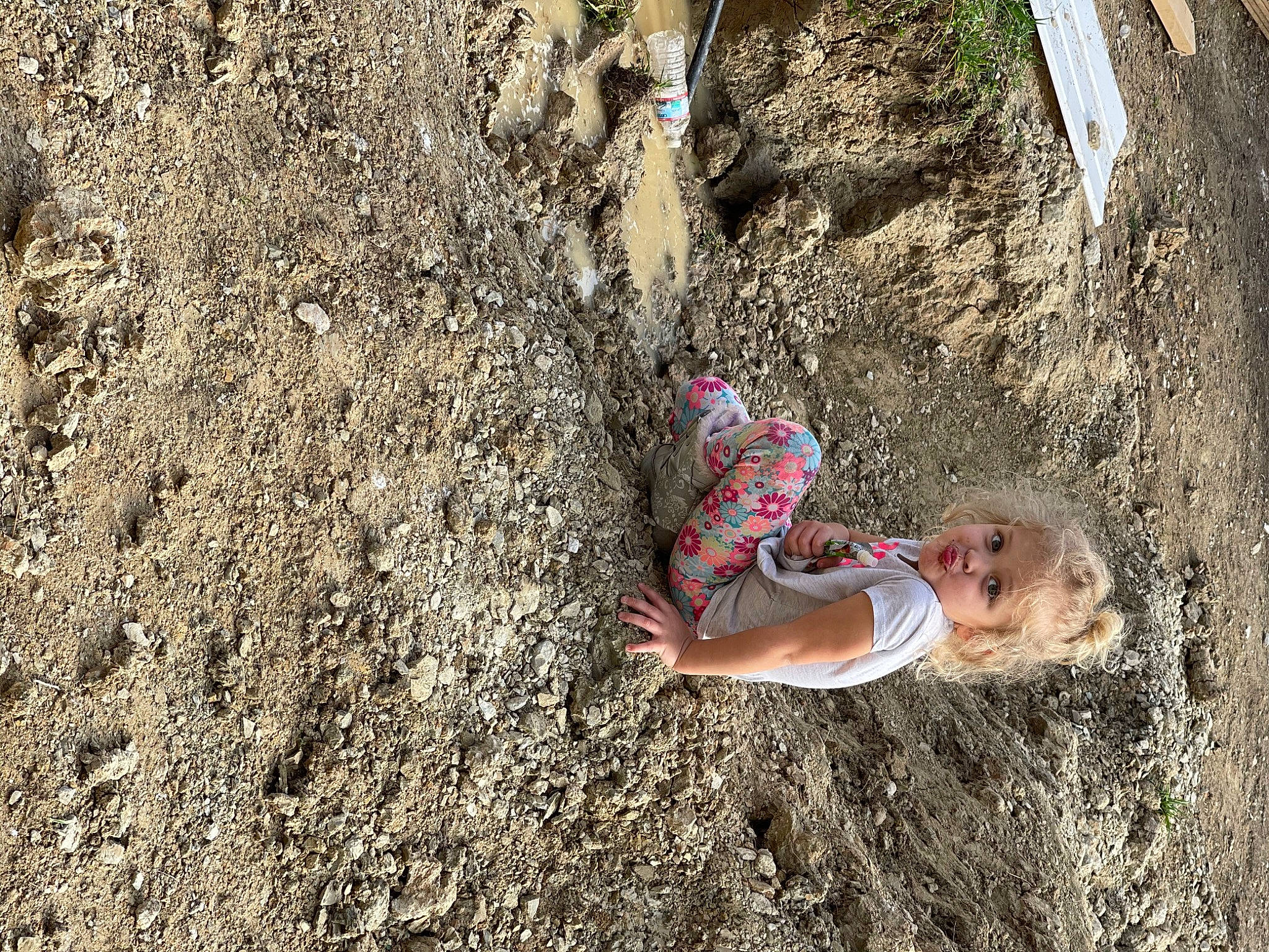 Abree joined the competition — help win amazing prizes! adventure, bedrock, climbing, fun, geology, grass, landscape, leisure, outcrop, people_in_nature, person, plant, recreation, rock, sand, soil, sport_climbing, toddler, tree, trunk