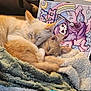 animal, blanket, book, cartoon, cat, colorful, comfort, cozy, cute, feline, fur, household, indoor, pets, pile, relaxation, resting, sleeping, soft, table