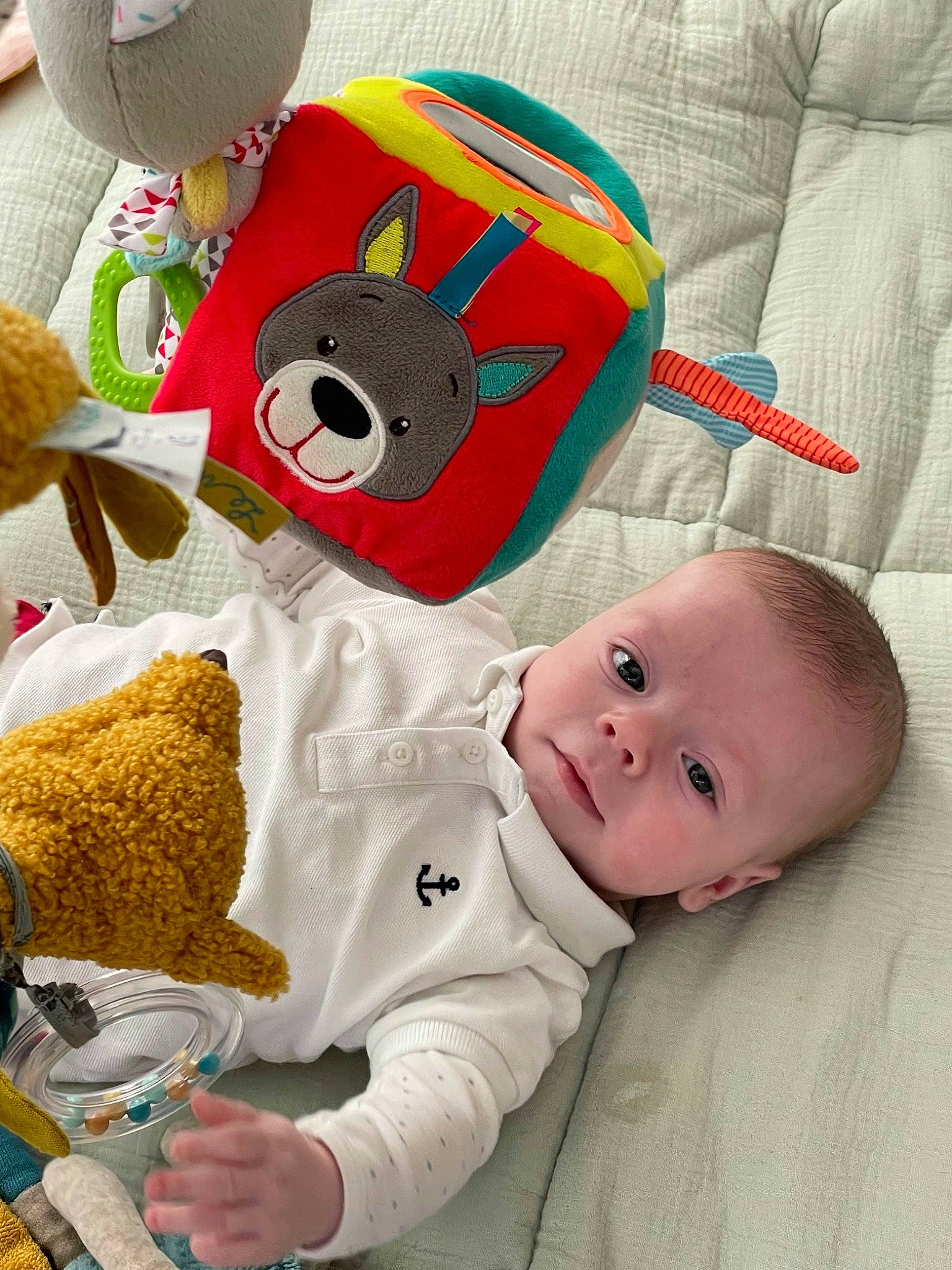 Hugo a rejoint le concours — aidez-le/la à gagner de superbes lots ! art, baby, baby_products, baby_safety, baby_sleeping, baby_toddler_clothing, baby_toys, cheek, child, comfort, happy, hat, linens, person, product, room, stuffed_toy, textile, toddler, toy