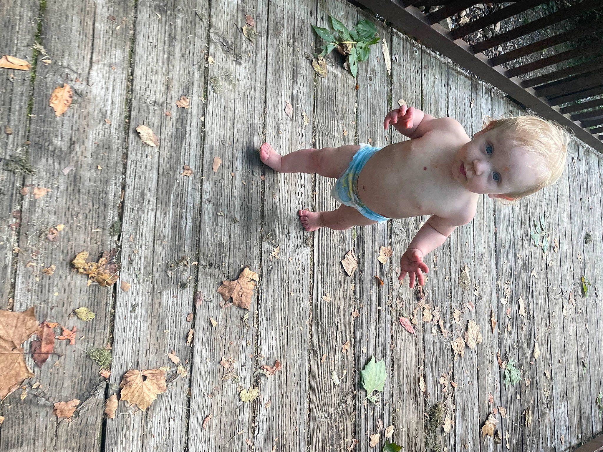 Jaxson joined the competition — help win amazing prizes! adaptation, adventure, baby, concrete, flash_photography, flooring, foot, grass, happy, human_leg, leaf, leisure, pattern, people_in_nature, person, plant, recreation, toddler, tree, wall