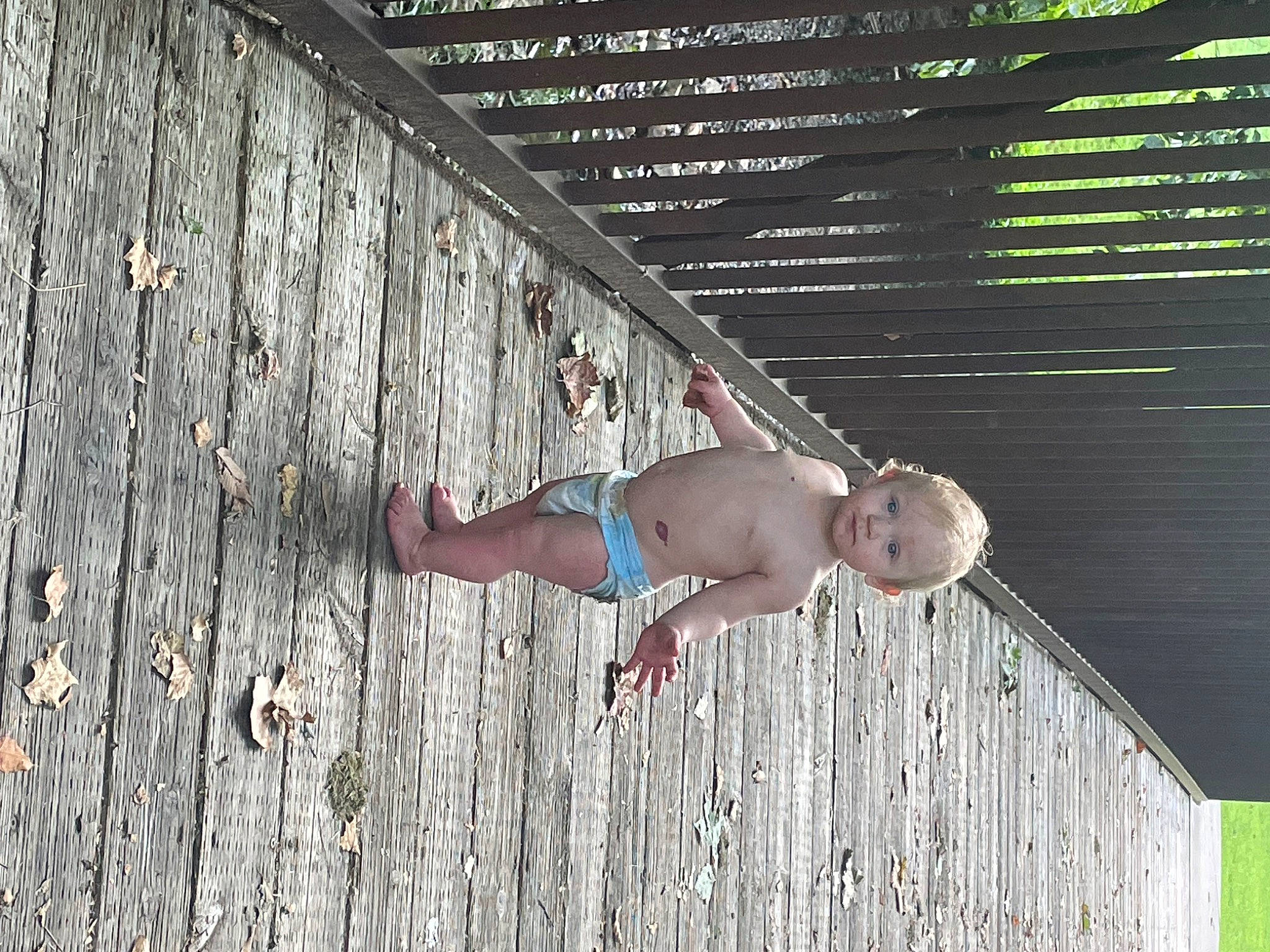 Jaxson is registered to the contest to win money with this photo: baby, barechested, child, elbow, flash_photography, foot, fun, grass, happy, hardwood, human_leg, leisure, pattern, people_in_nature, person, plant, thigh, toddler, tree, trunk