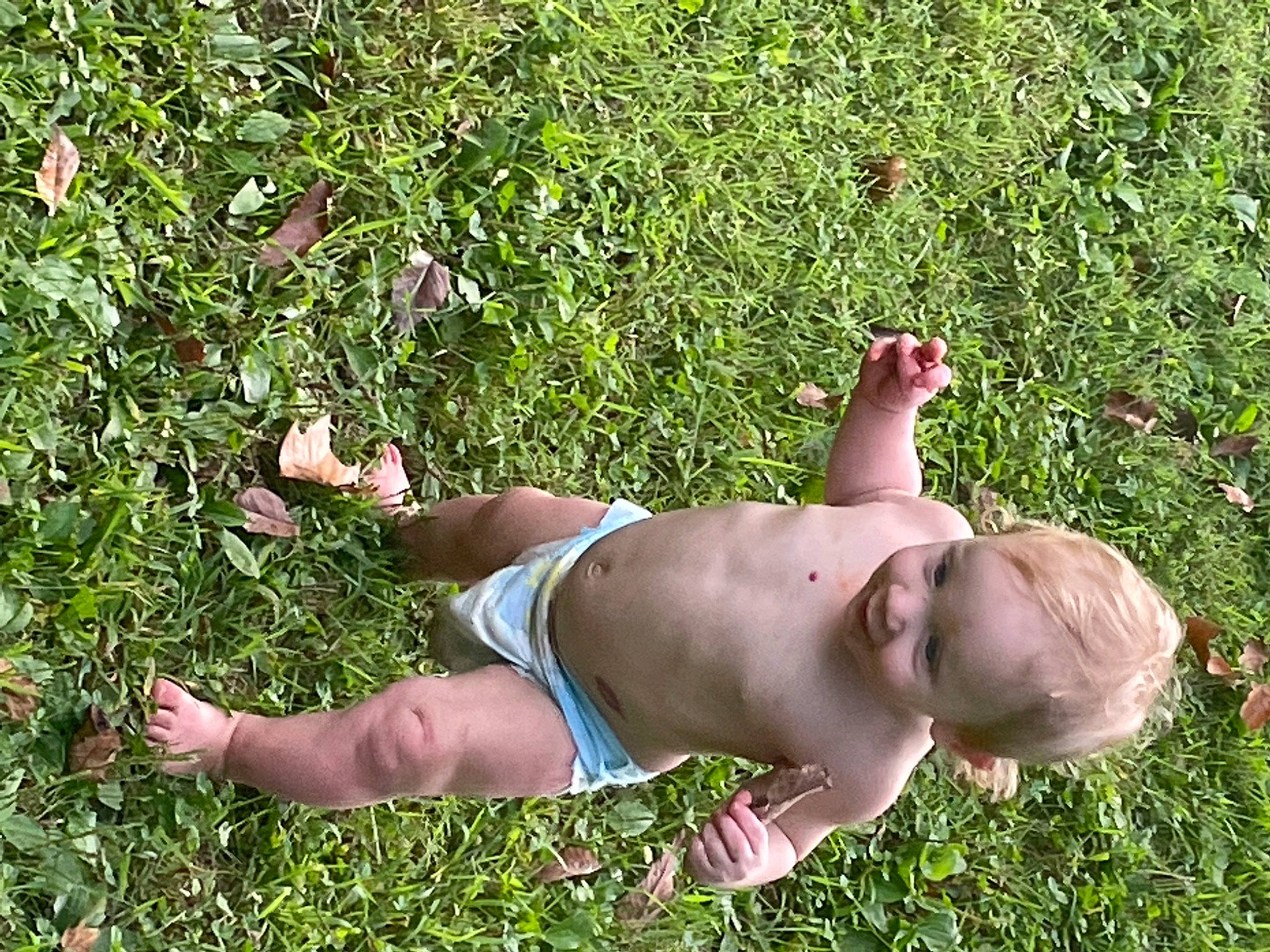 Jaxson is registered to the contest to win money with this photo: abdomen, baby, barechested, chest, elbow, fun, grass, groundcover, human_leg, joy, knee, leisure, navel, people_in_nature, person, plant, swimwear, thigh