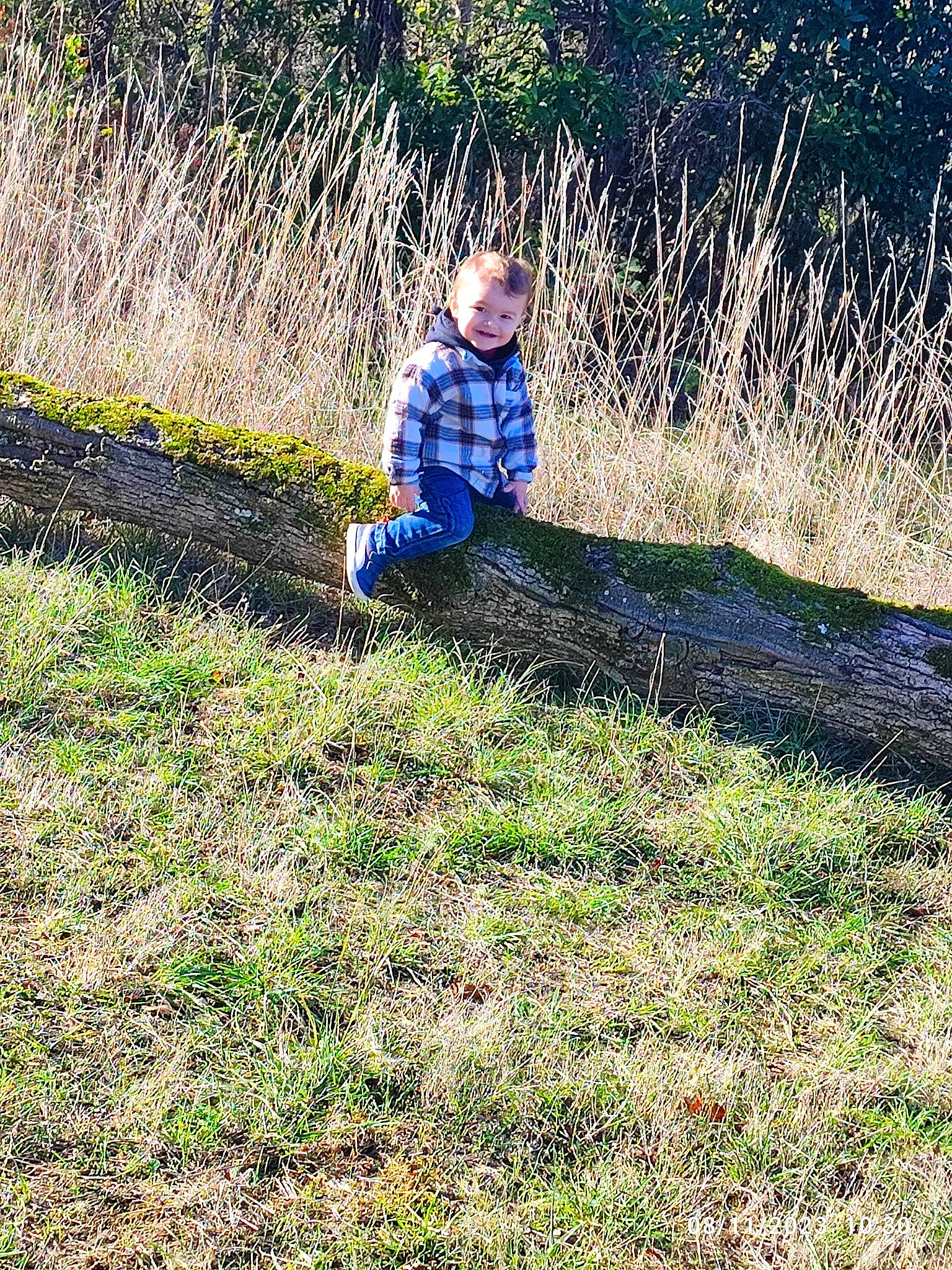 Kenzo participe au concours pour gagner de l'argent avec cette photo : electric_blue, field, grass, grass_family, grassland, groundcover, happy, joy, landscape, lawn, meadow, natural_landscape, people_in_nature, person, plant, plant_community, prairie, shrub, slope, soil