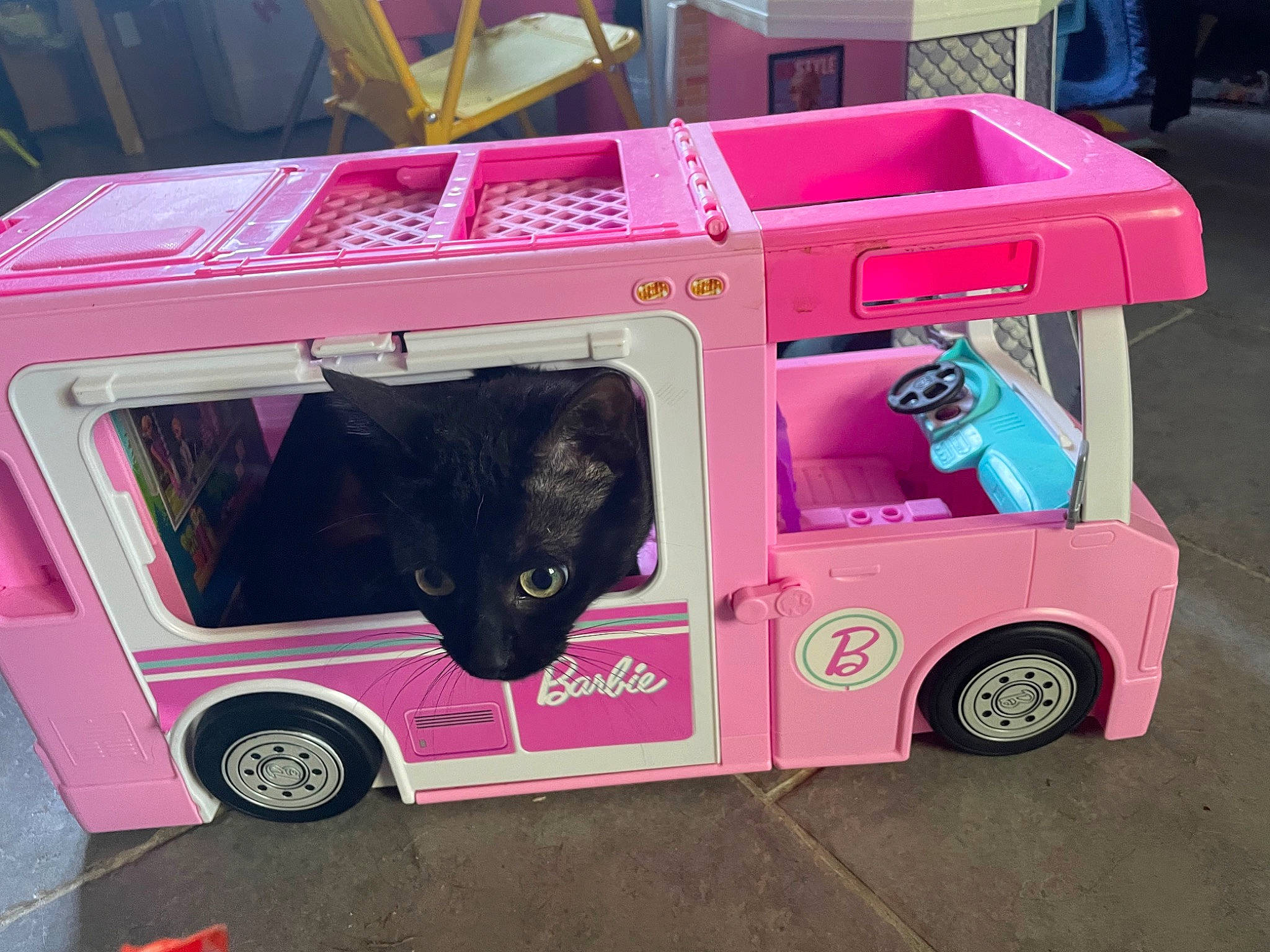 Tralala participe au concours pour gagner de l'argent avec cette photo : art, automotive_tire, carnivore, cat, dog_supply, felidae, fender, magenta, motor_vehicle, pet_supply, pink, play, red, small_to_medium_sized_cats, tail, tire, toy, truck, vehicle, wheel