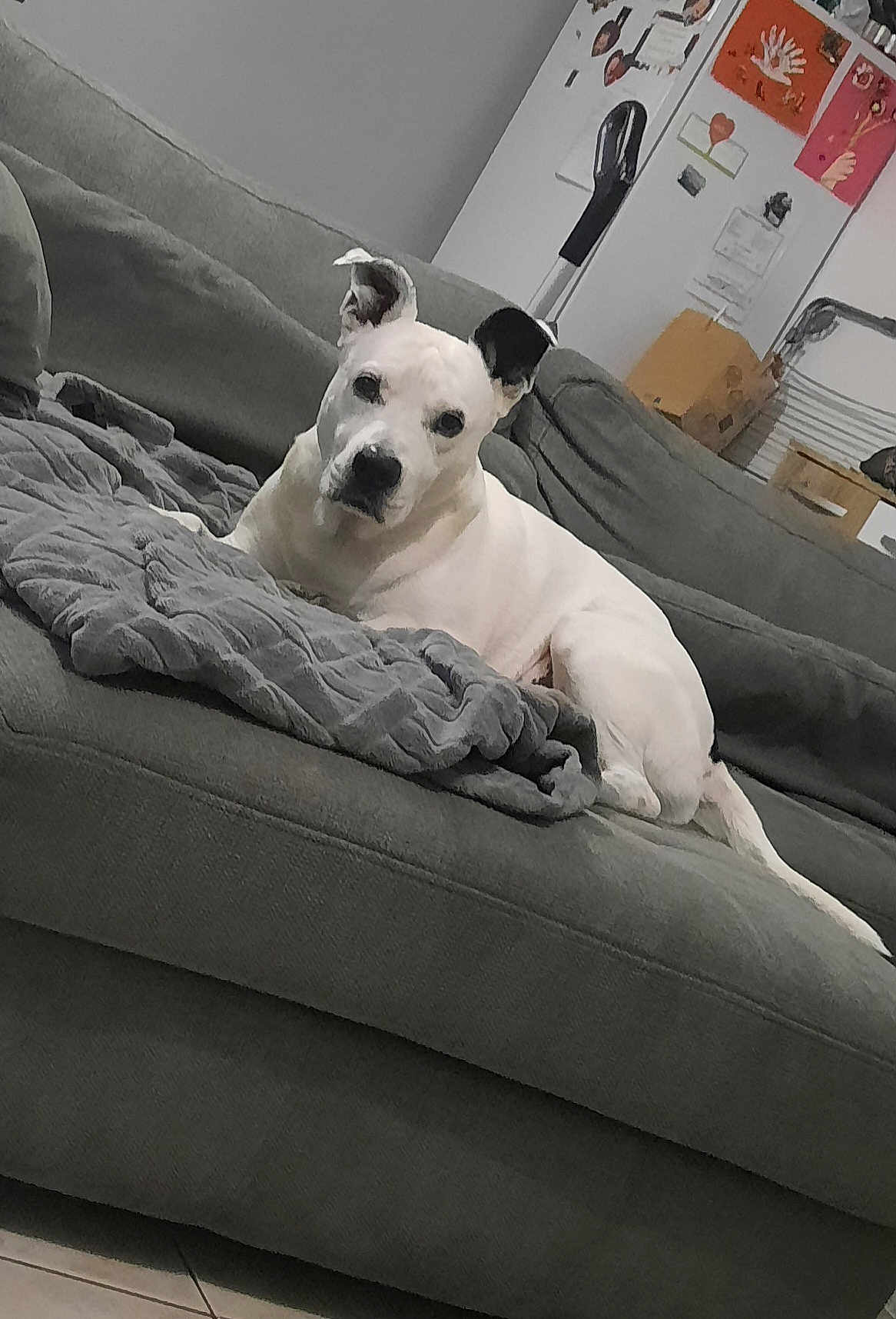 Marley