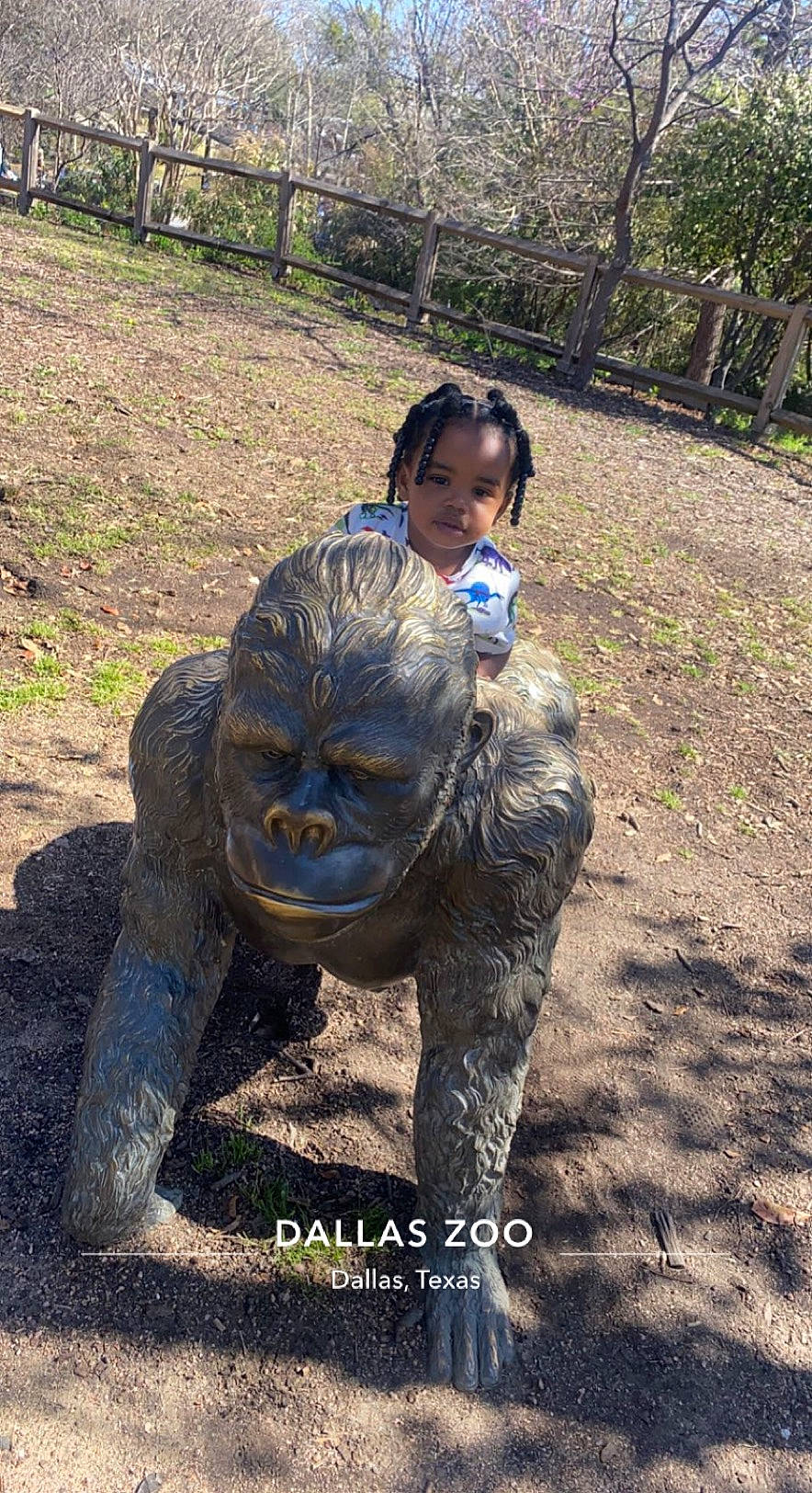 Kiersten is registered to the contest to win money with this photo: adaptation, art, botany, common_chimpanzee, fur, grass, landscape, lawn_ornament, leisure, person, plant, primate, recreation, rock, sculpture, snout, soil, statue, terrestrial_animal, trunk