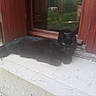 black_cat, cat, animal, pet, windowsill, window, red_shutters, wooden, outdoor, resting, feline, yellow_eyes, reflection, greenery, caravan, rustic, texture, calm, relaxing, daylight