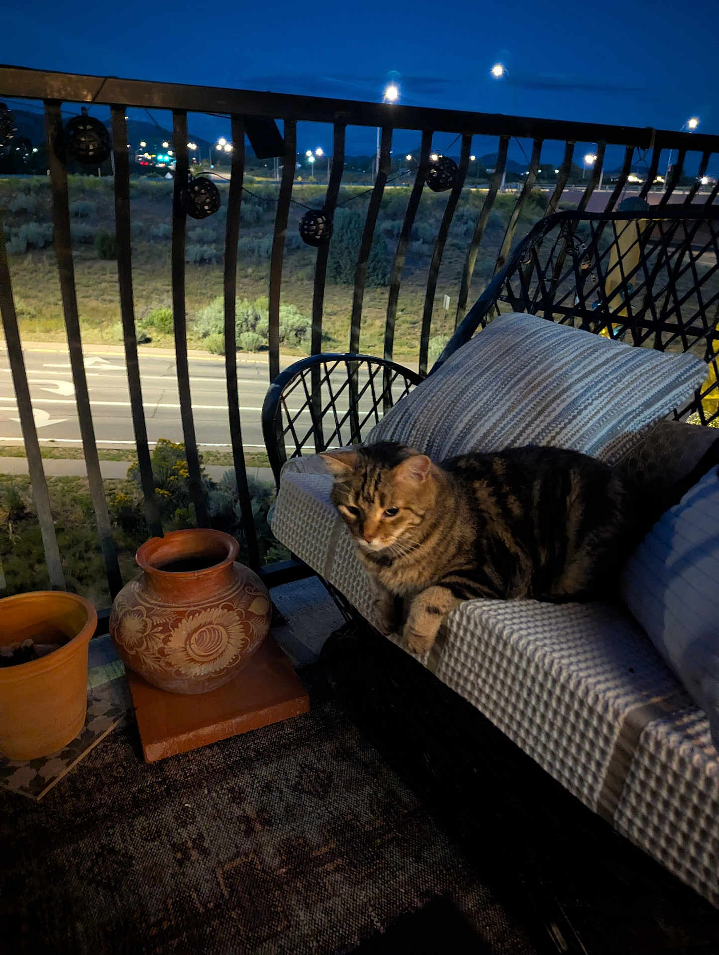 Ringo is registered to the contest to win money with this photo: cat, tabby_cat, balcony, night, chair, cushion, pottery, plant_pots, outdoor, railing, streetlights, road, urban, relaxing, pet, animal, furniture, decor, evening, quiet