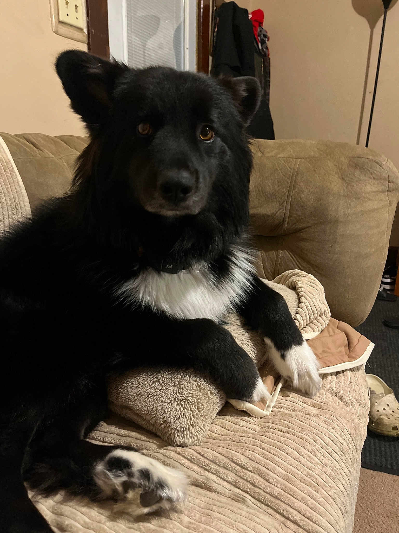 Buddy
