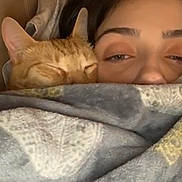 Teddy joined the competition — help win amazing prizes! cat, person, blanket, sleeping, cozy, indoor, orange_cat, closeup, face, resting, snuggling, warm, comfort, cute, fur, eyebrows, eyes, bedroom, relaxing, soft