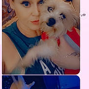 Tadpole is registered to the contest to win money with this photo: background, blue_light, casual_clothing, child, closeup, dog, face, fluffy_dog, hand, indoor, indoor_lighting, messaging_app, phone_screen, portrait, red_hair, selfie, smile, text_overlay, waving_hand, woman