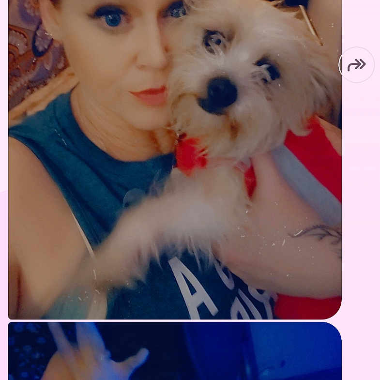 Tadpole is registered to the contest to win money with this photo: background, blue_light, casual_clothing, child, closeup, dog, face, fluffy_dog, hand, indoor, indoor_lighting, messaging_app, phone_screen, portrait, red_hair, selfie, smile, text_overlay, waving_hand, woman