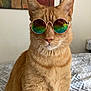 cat, ginger_cat, sunglasses, indoor, bed, bedspread, pattern, feline, pet, animal, orange_fur, whiskers, ears, portrait, sitting, cool, accessory, reflection, home, cute