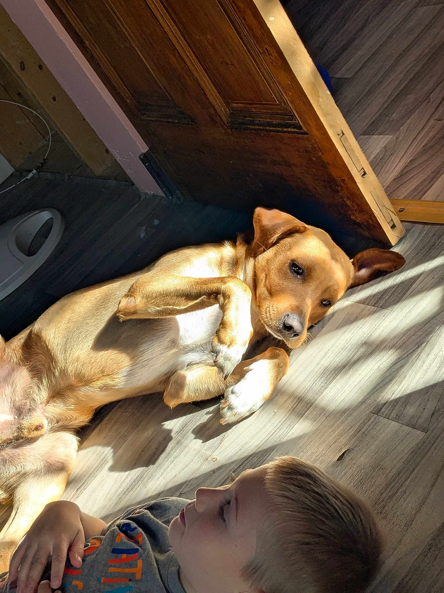 Andy Griffith Coveny