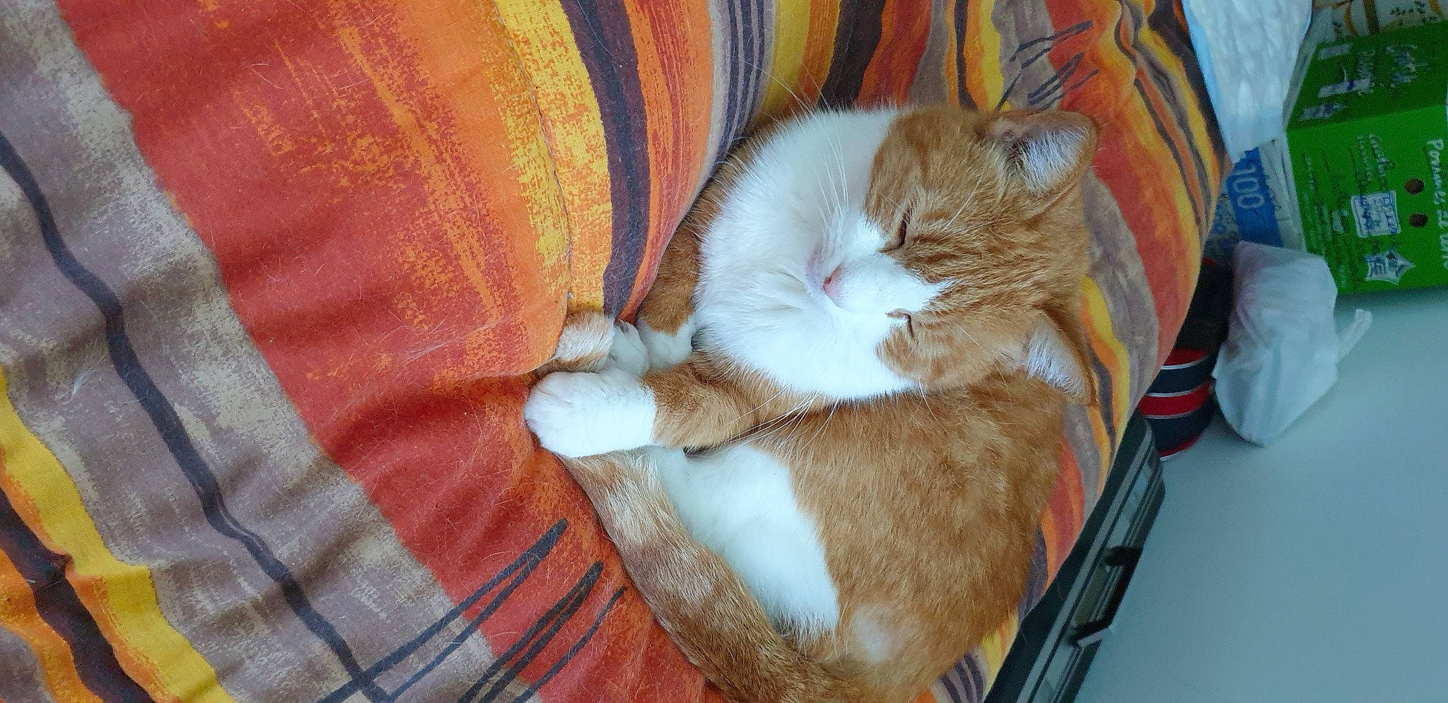 Calinette participe au concours pour gagner de l'argent avec cette photo : bag, carnivore, cat, cat_supply, claw, comfort, domestic_short_haired_cat, fawn, felidae, fur, lap, luggage_and_bags, nap, orange, pattern, sleep, small_to_medium_sized_cats, tail, whiskers, wood