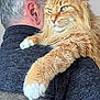 cat, ginger_cat, fluffy_fur, person, shoulder, back_view, indoor, pet, animal, cozy, companion, relaxed, feline, domestic_cat, close_up, portrait, warm, soft_texture, whiskers, clothing