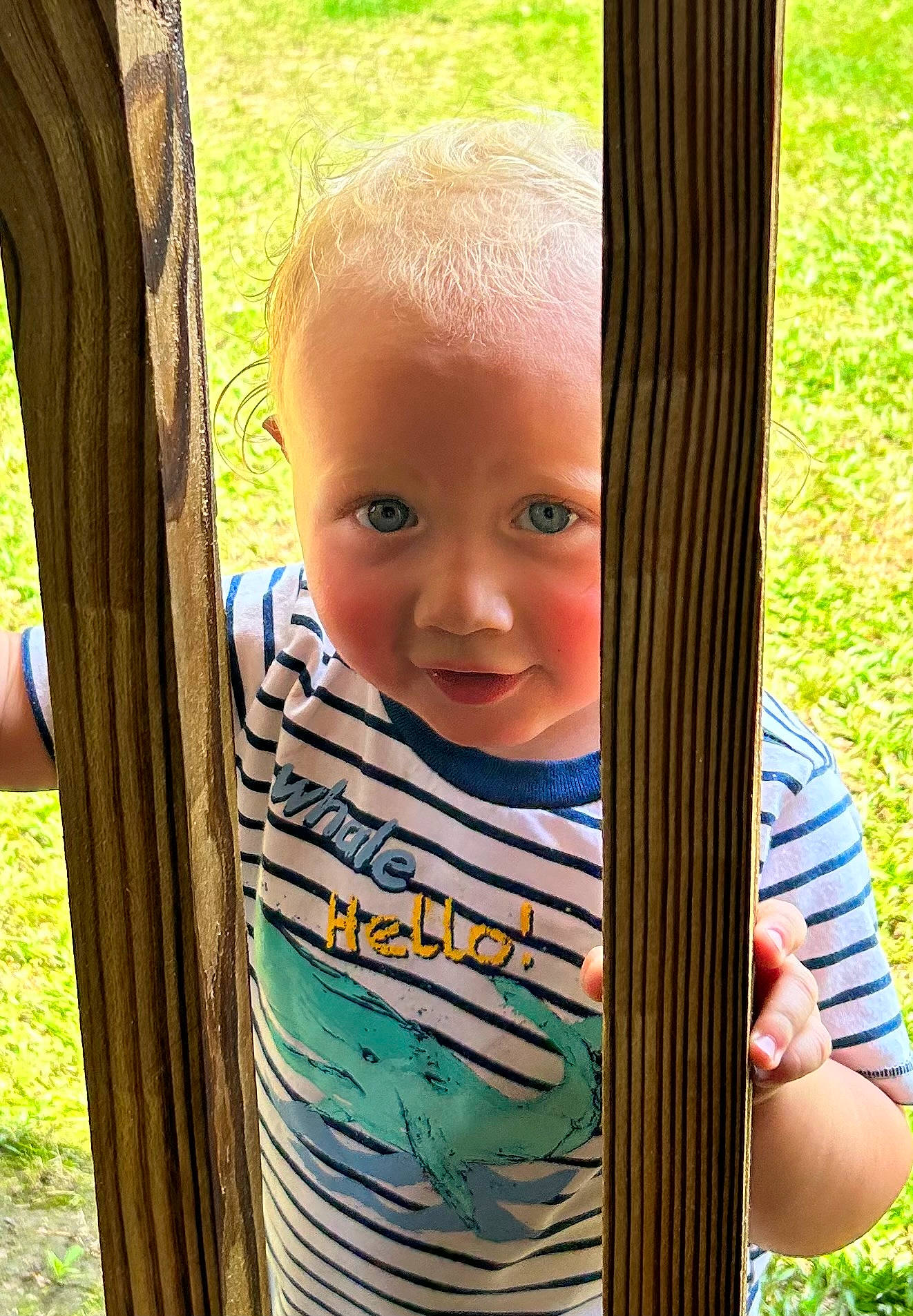 Kam joined the competition — help win amazing prizes! baby, baby_toddler_clothing, child, fun, grass, grass_family, happy, leaf, leisure, mammal, people_in_nature, person, plant, product, skin, smile, toddler, tree, vertebrate, wood