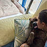 Tiger participe au concours pour gagner de l'argent avec cette photo : dog, person, couch, cushion, tongue_out, indoor, window, pet, relaxed, affection, home, brown_dog, furniture, floor, light, cozy, comfort, animal, interaction, love