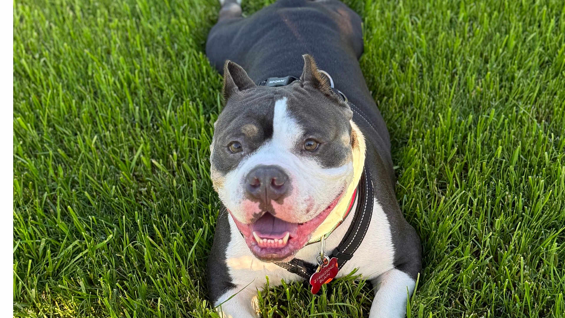 Winston Wellington
