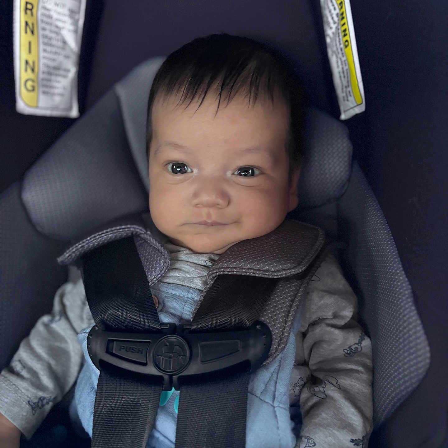 Alexis Cambron joined the competition — help win amazing prizes! baby, baby_clothes, car_seat, child, closeup, clothing, cute, eyes, fabric, face, hair, hand, indoor, infant, person, portrait, safety, seatbelt, smile, straps