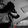 Sugar is registered to the contest to win money with this photo: dog, black_and_white, tongue_out, indoor, plant, leafy, wall, framed_picture, person, shirt, sleeve, close_up, pet, animal, happy, portrait, love, emoji, monochrome, casual