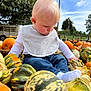 baby, child, toddler, pumpkin, gourd, autumn, outdoor, nature, fall, curious, clothing, bib, grass, tree, sky, cloud, field, person, seasonal, harvest