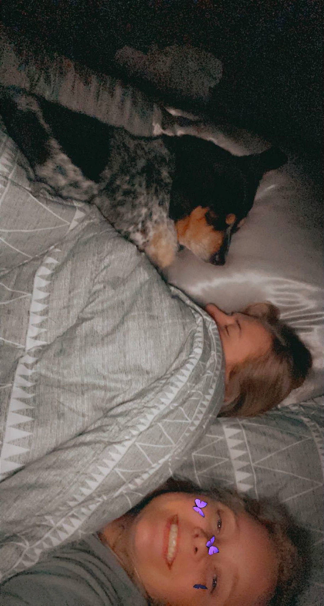 Diesel is registered to the contest to win money with this photo: canidae, carnivore, comfort, companion_dog, dog, dog_breed, felidae, fun, fur, gesture, guard_dog, leg, linens, nap, pattern, room, sitting, sleep, sporting_group, whiskers