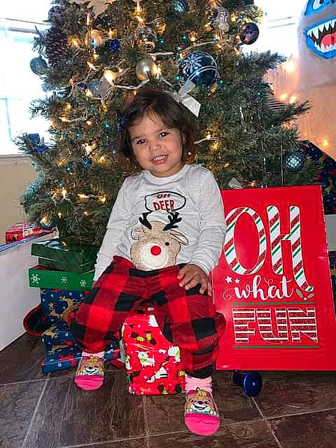 Nelli joined the competition — help win amazing prizes! baby_toddler_clothing, christmas, christmas_decoration, christmas_eve, christmas_ornament, christmas_tree, conifer, event, happy, holiday, holiday_ornament, interior_design, joy, ornament, person, plant, red, room, sleeve, smile