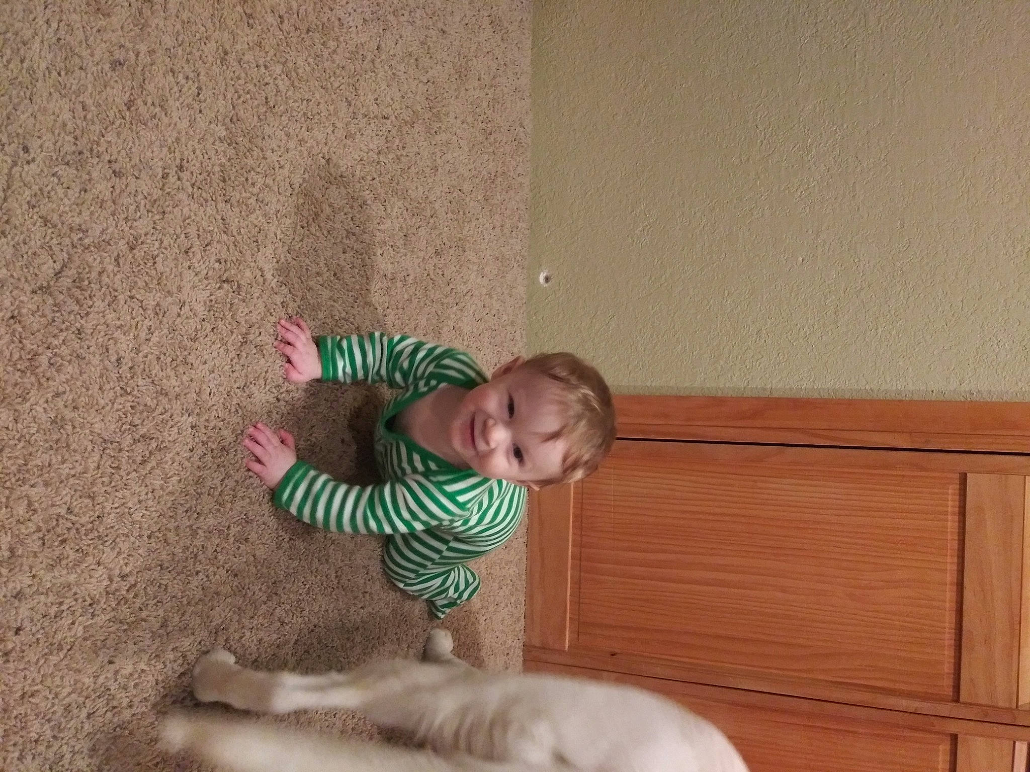 Damian joined the competition — help win amazing prizes! baby, child, comfort, companion_dog, dog, dog_breed, floor, flooring, fun, fur, hardwood, head, joy, person, play, room, sitting, smile, tail, toddler