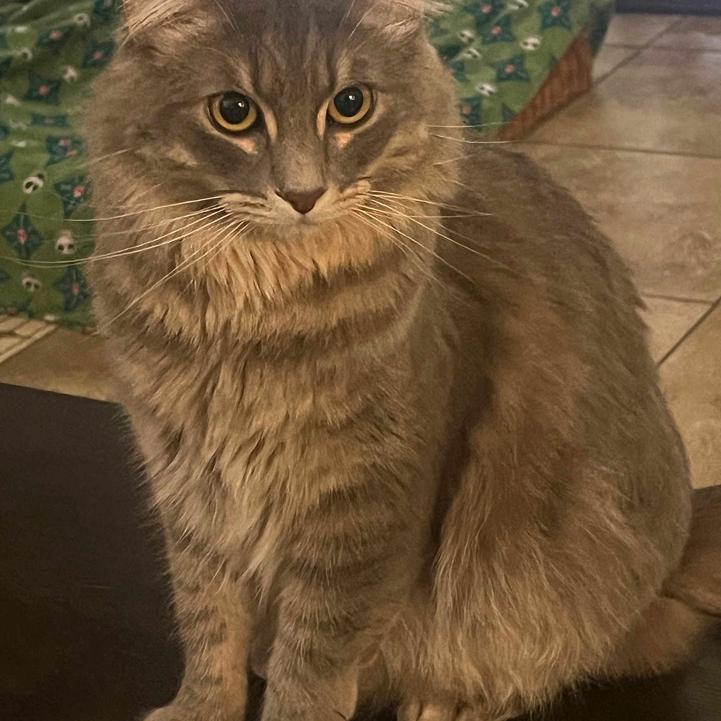 Caesar