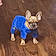 Snoopy