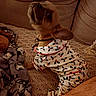 Snoopy joined the competition — help win amazing prizes! dog, bulldog, pet, canine, animal, face, portrait, sleepy, relaxed, pajamas, festive, holiday, clothing, couch, blanket, indoor, home, cozy, collar, sitting