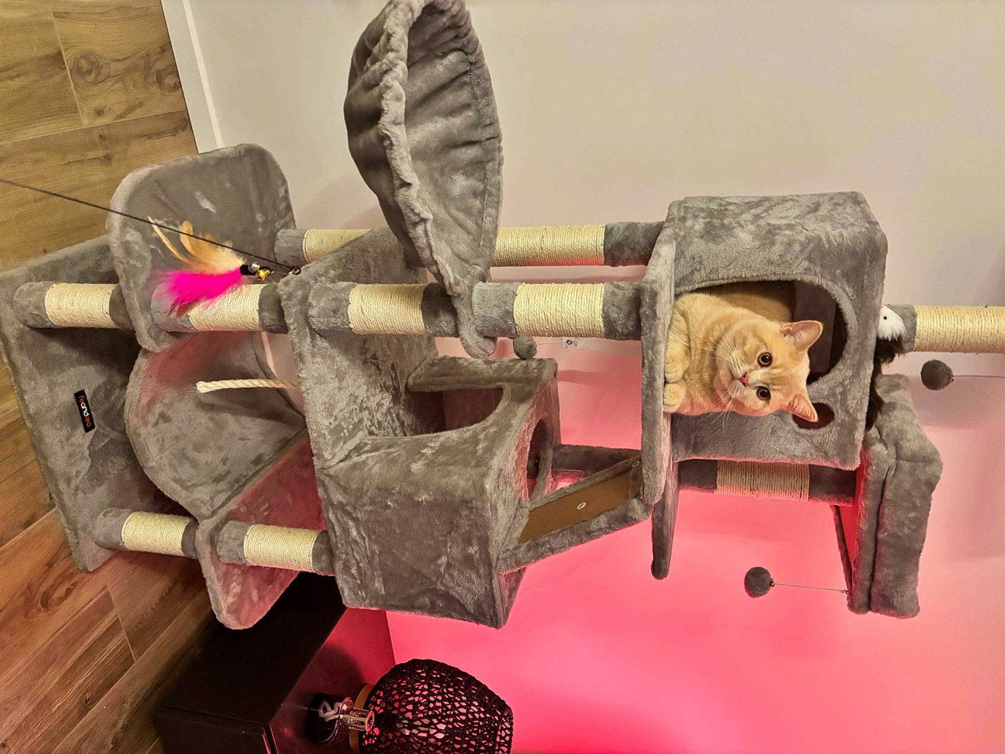 Roméo a rejoint le concours — aidez-le/la à gagner de superbes lots ! art, auto_part, automotive_wheel_system, carmine, creative_arts, fashion_accessory, font, hardwood, magenta, metal, natural_material, room, sculpture, visual_arts, wheel, wood, working_animal